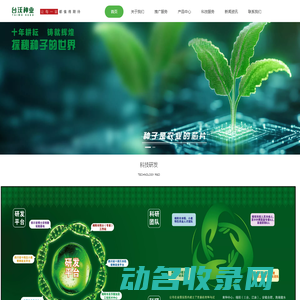 网站